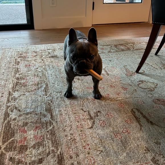 Meet your Posher, Sara - Picture 3 of 3